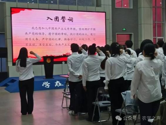 说明: 10-11.jpg 说明: 10-11.jpg